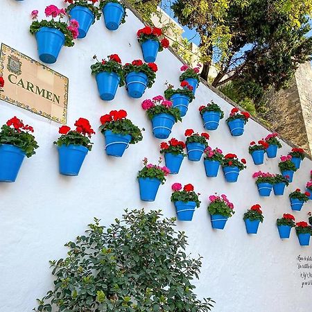 Idyllic Townhouse In Marbella Old Town Villa Ngoại thất bức ảnh